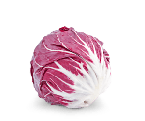 Radicchio